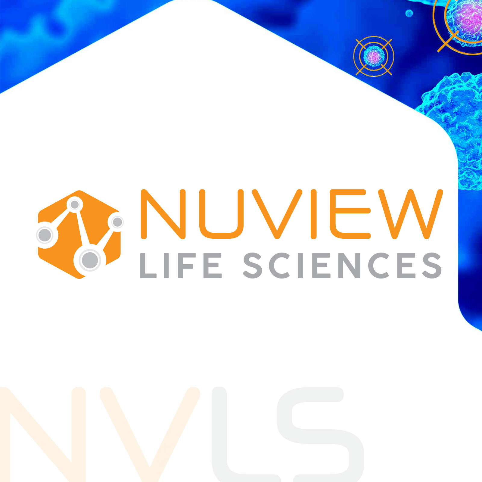 NuView logo